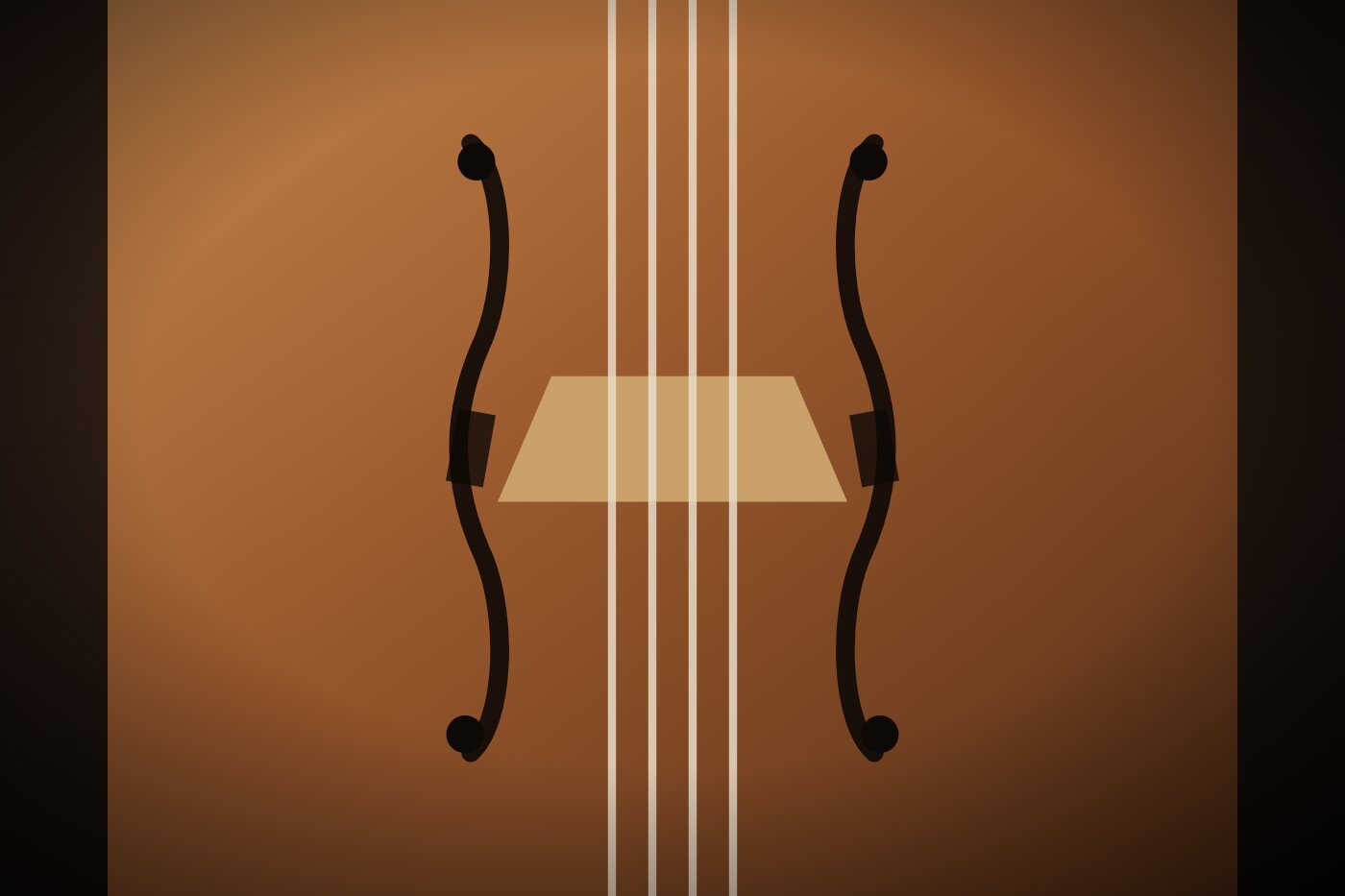 Cello bridge, f-holes and strings in close-up
